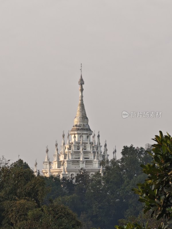 树林中白色佛塔远景