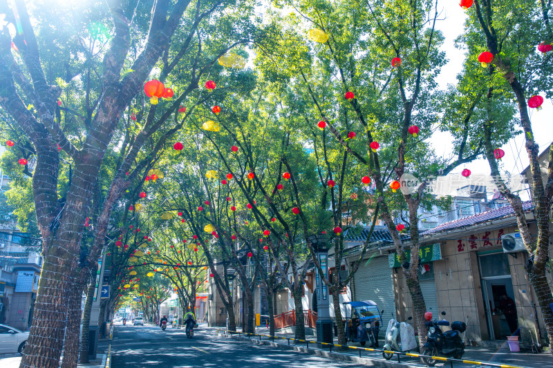 云和县城挂满彩灯的街道树木与街边店铺景象