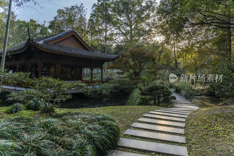 杭州西子湖畔杭州花圃风景