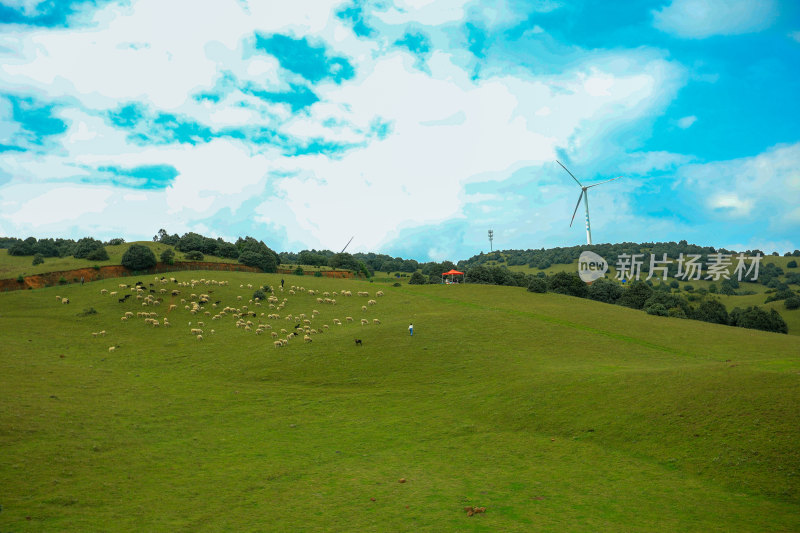 草原牧羊场景