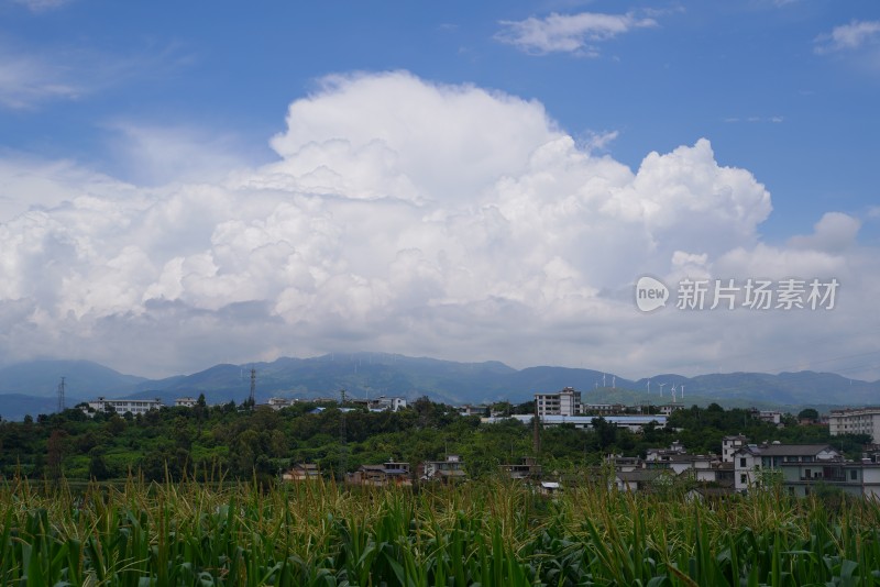 田野村庄与远山白云风景