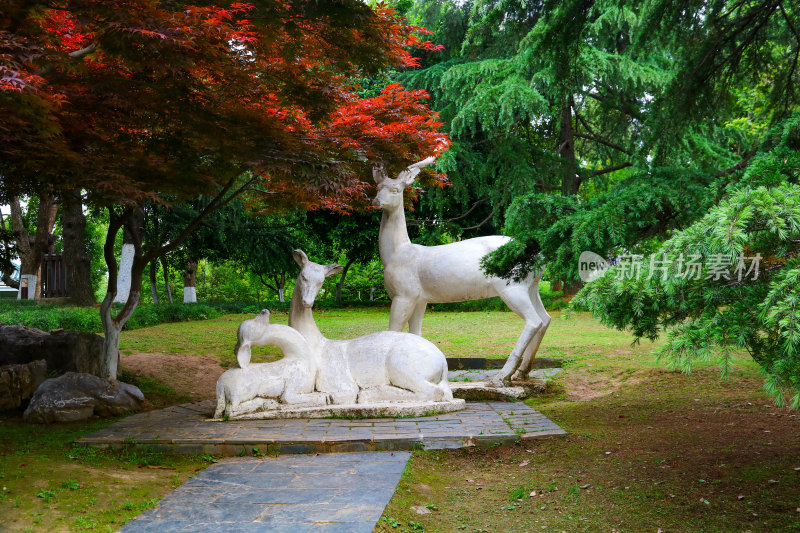 武汉东湖听涛风景区