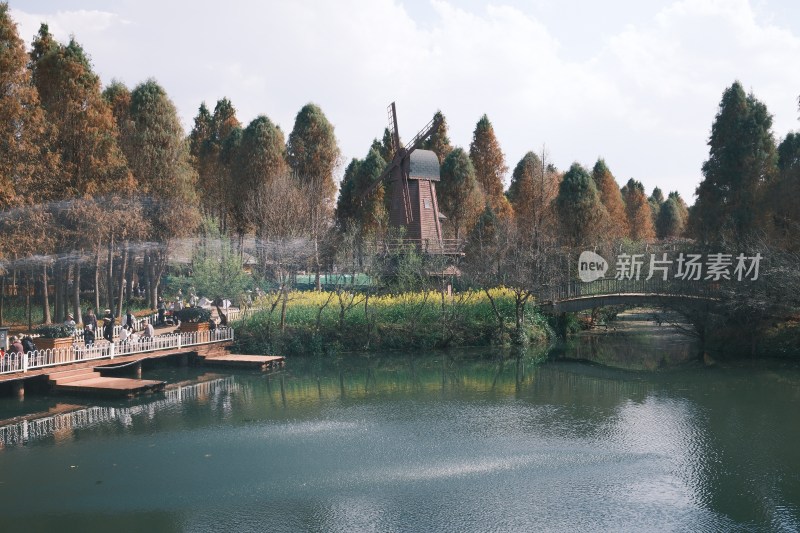 湖边风车树林风景