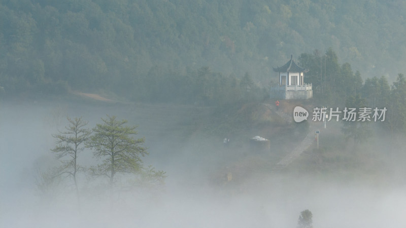 杭州大径山茶园风光