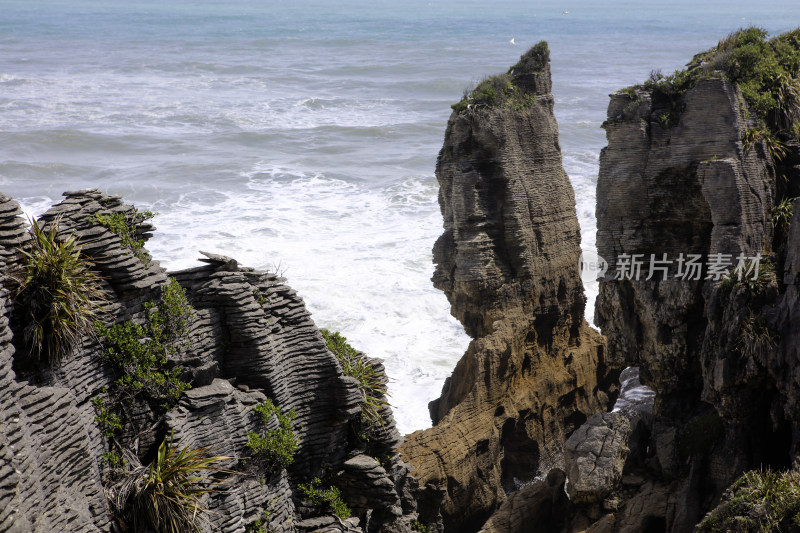 新西兰薄饼岩：南岛西海岸的地质奇迹