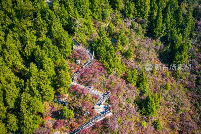 重庆巫山文峰景区