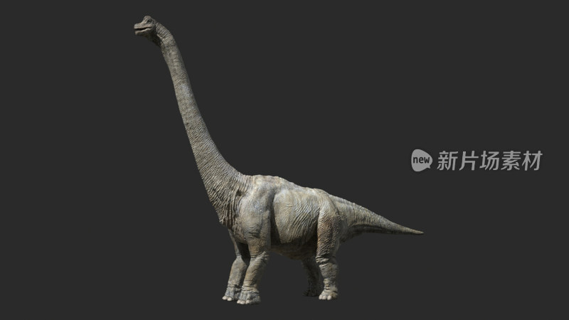 恐龙 侏罗纪 长颈龙