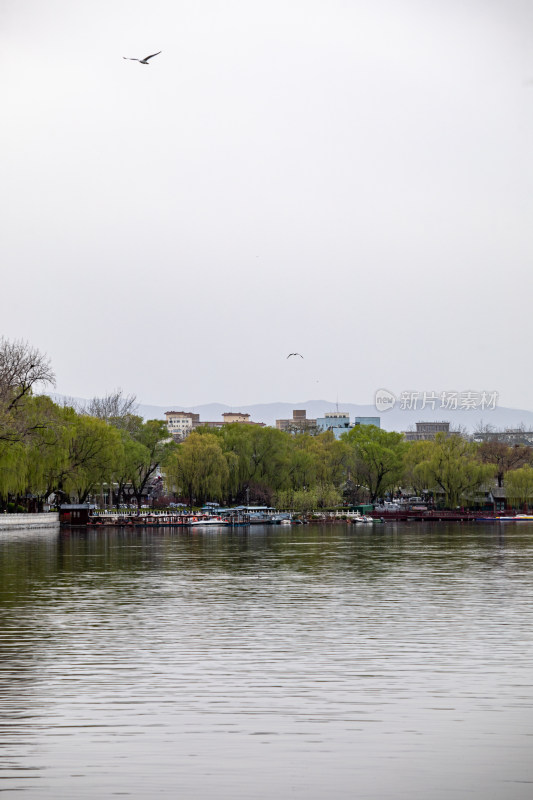 北京什刹海后海公园景点景观