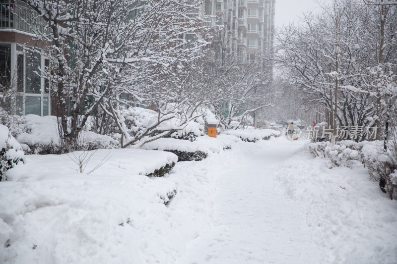 大雪后小区屋外厚厚的积雪雪景