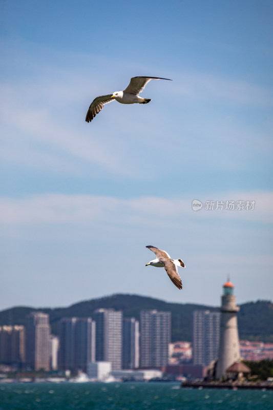 山东威海灯塔景点海滨风光