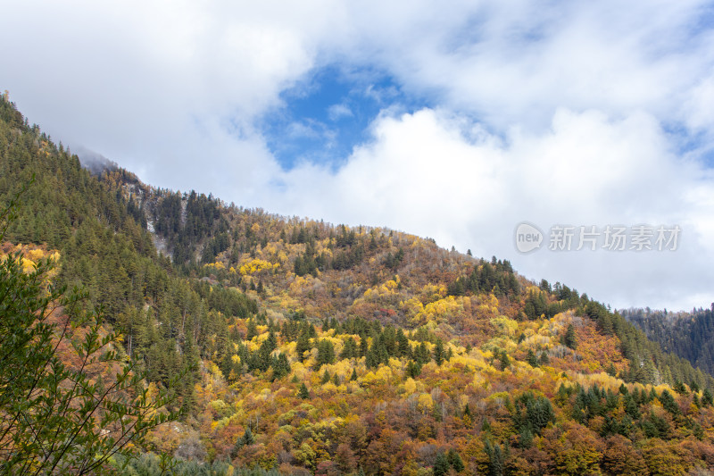 九寨沟秋色，蓝天下彩林层林尽染