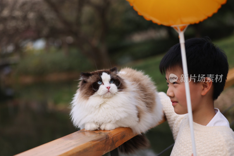 小男孩与栏杆上的宠物猫互动的温馨场景