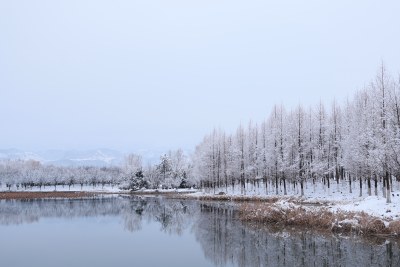 冬季雪景