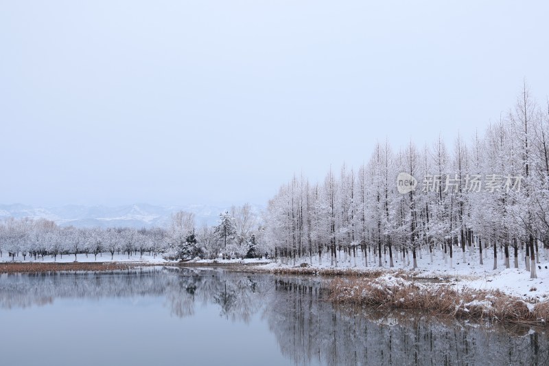 冬季雪景