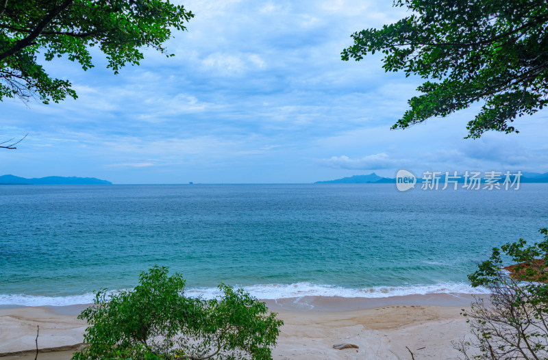 深圳盐田背仔角海滨公园树林海景自然风光