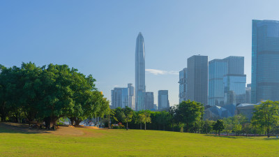 广东深圳福田莲花山城市天际线