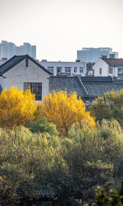 济宁太白楼看运河畔中式建筑与远处现代高楼