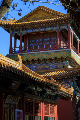 北京故宫博物院无人空景大景观细节