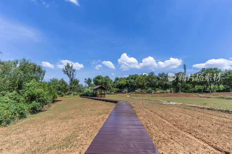 武汉洪山区万国公园风景