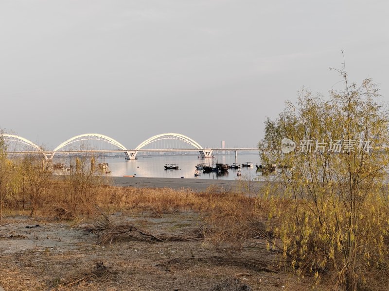 水边有枯草和树木的桥梁远景图