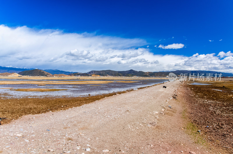 云南迪庆香格里拉纳帕海景区湿地泥路