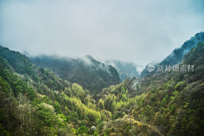 神秘的原始神农架林区