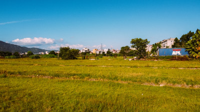 莆田涵江农田风光