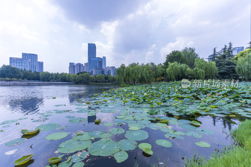 武汉江汉区后襄河公园风景