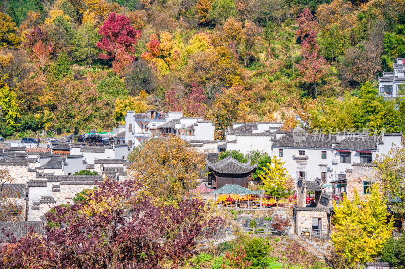 皖南秋色塔川国家森林公园