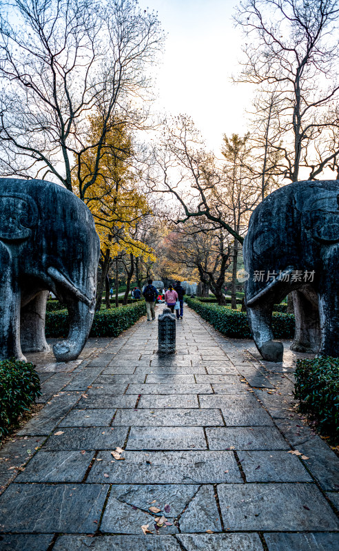 南京明孝陵石象路神道