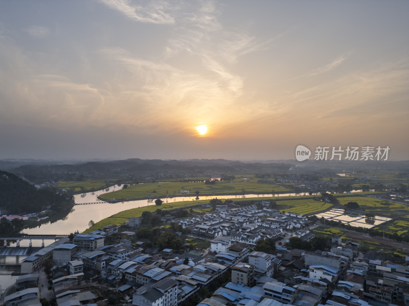 重庆市潼南县陈抟故里崇龛花海油菜花盛开