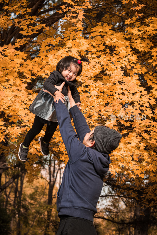 秋天树林里年轻的父亲高高举起女儿