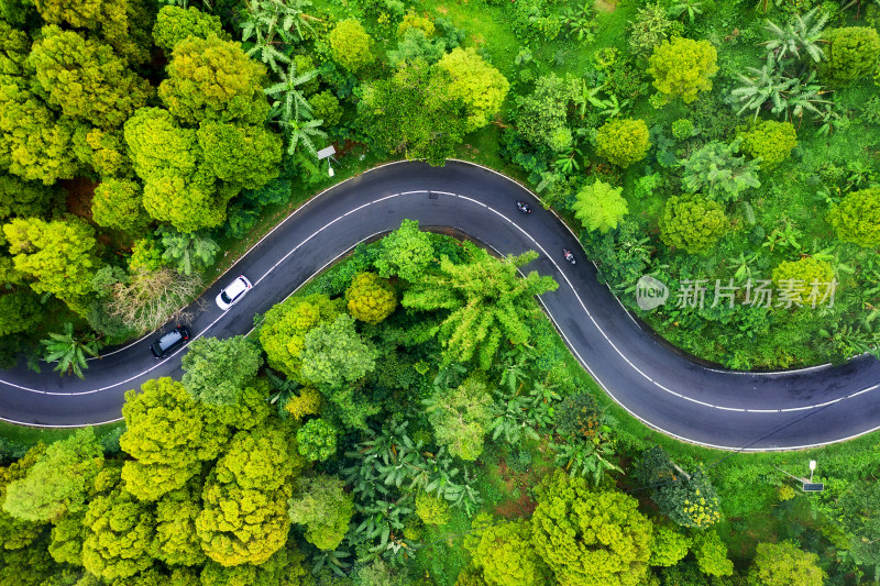 森林中道路的鸟瞰图