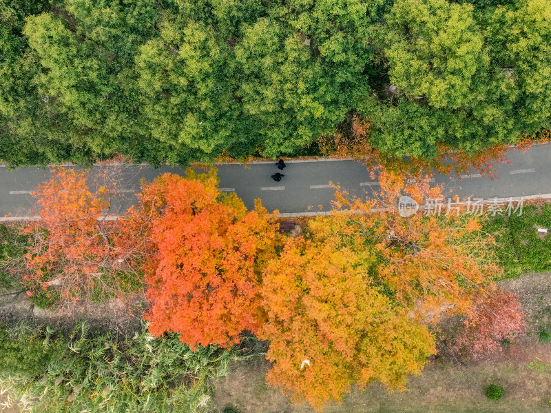 航拍昆山道路上的秋冬景色