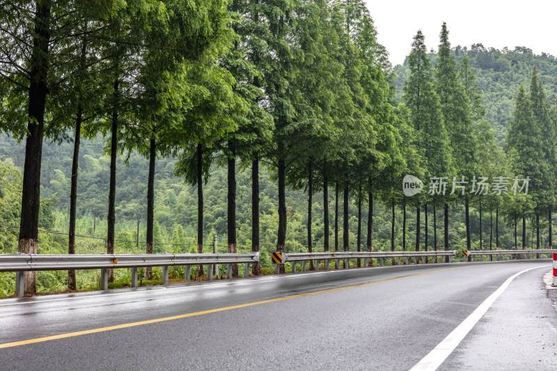 乡村柏油路