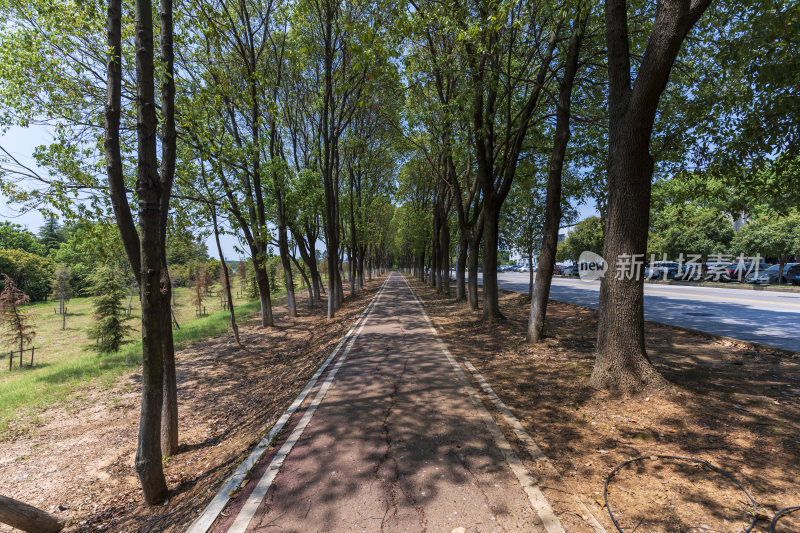 武汉蔡甸汤湖公园生态园林风景