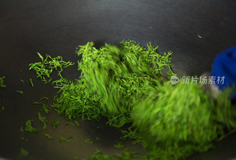 采茶制茶茶叶加工过程