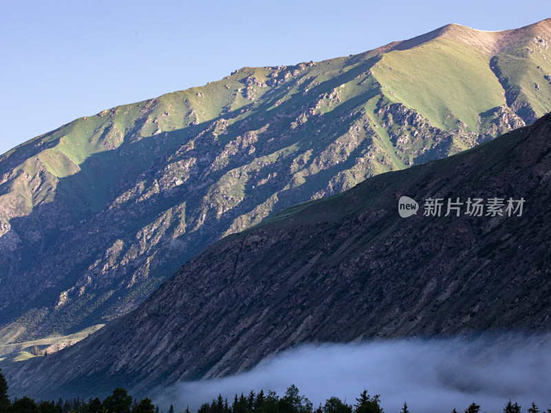 夏天新疆伊犁，晨雾中的山和森林的自然风景