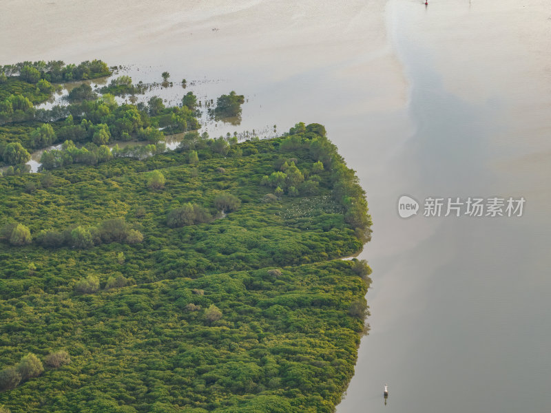 广东大湾区深圳前海湾涂滩日落城市夜景航拍