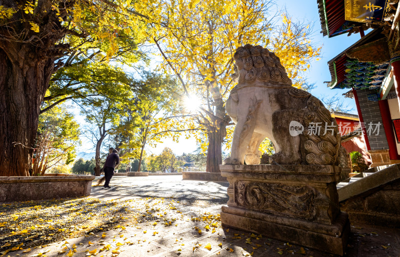 丽江指云寺