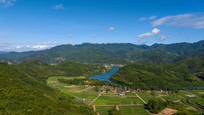 航拍乡村绿色稻田 乡村振兴