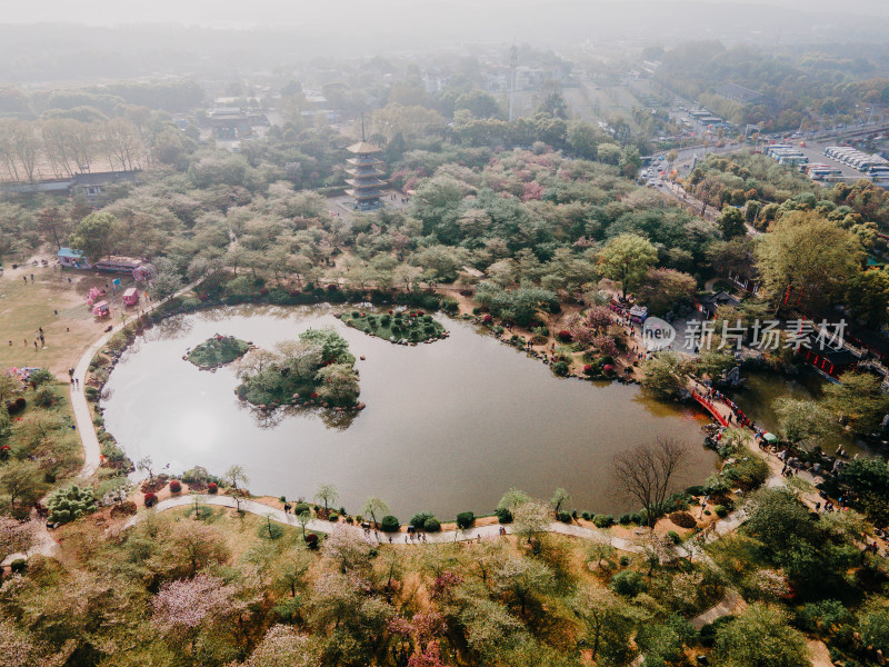 武汉东湖樱花园