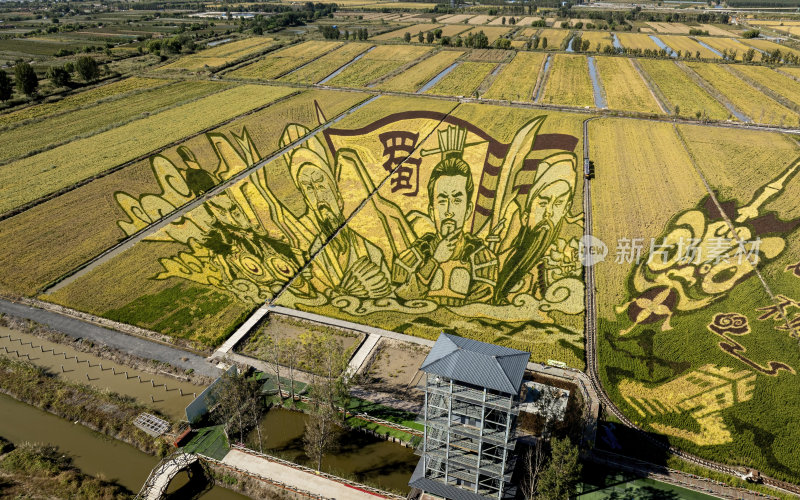 天津宁河区宁和稻香生态园稻田画