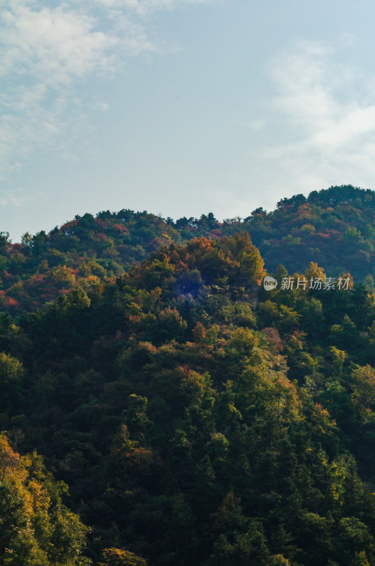 河南洛阳白云山风景区秋色