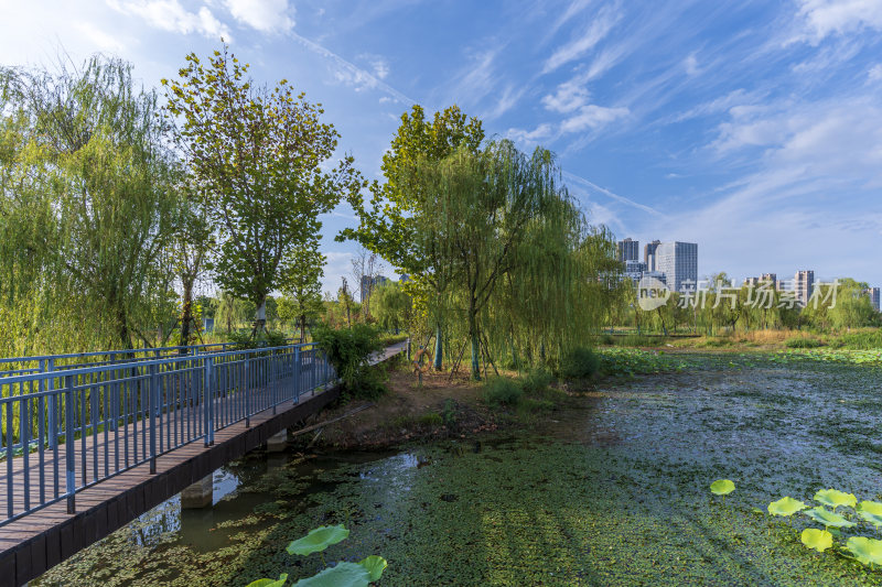 武汉江夏中央大公园风景