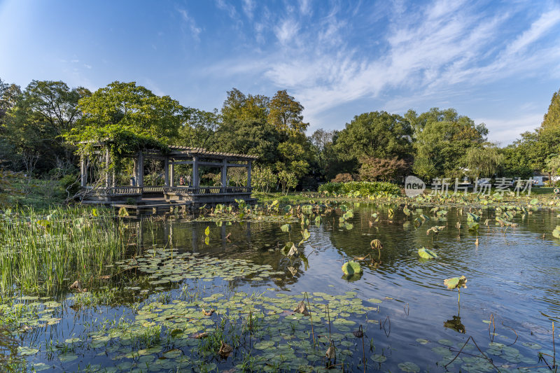 杭州西子湖畔杭州花圃风景