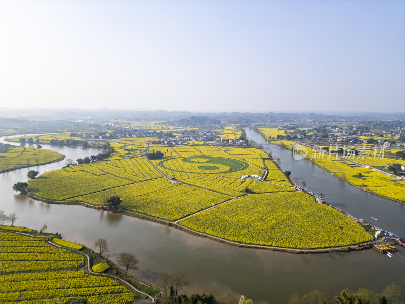 重庆市潼南县陈抟故里崇龛花海油菜花盛开