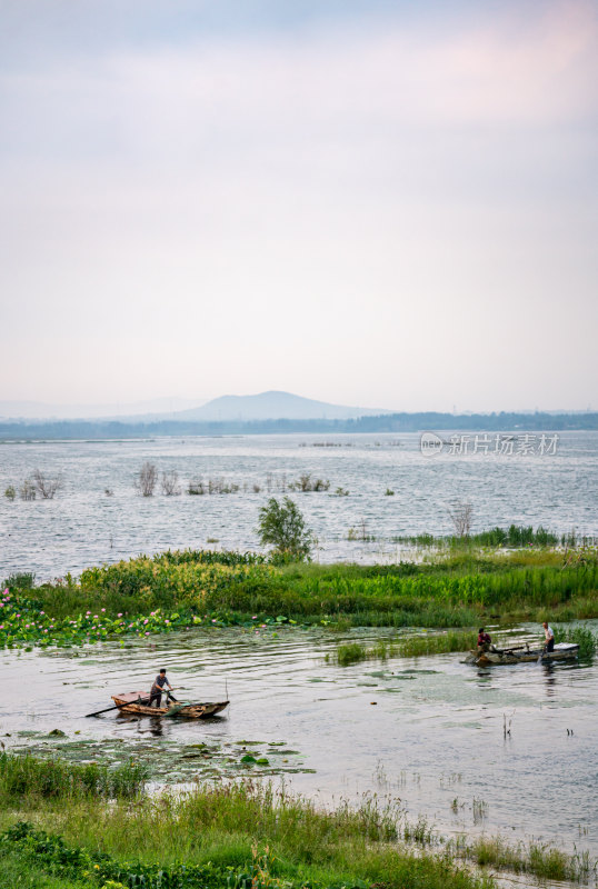 夏天的邹城孟子湖湿地湖泊自然景观