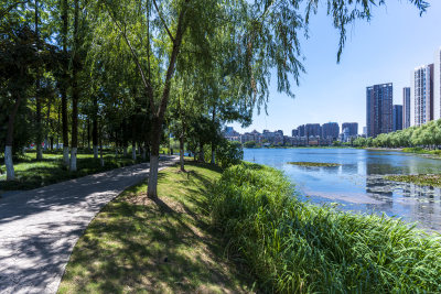 武汉武昌区内沙湖公园风景