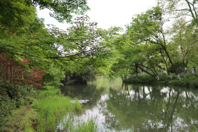 浙江杭州西湖风景区茅家埠